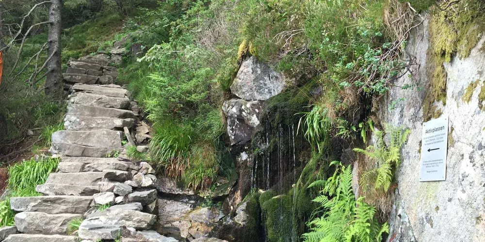 Stoltzekleiven